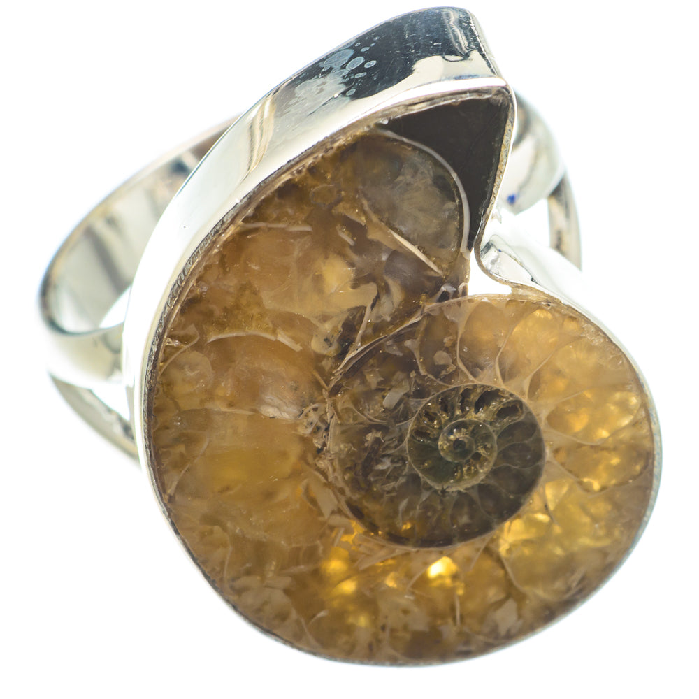 Ammonite Fossil Rings handcrafted by Ana Silver Co - RING74276