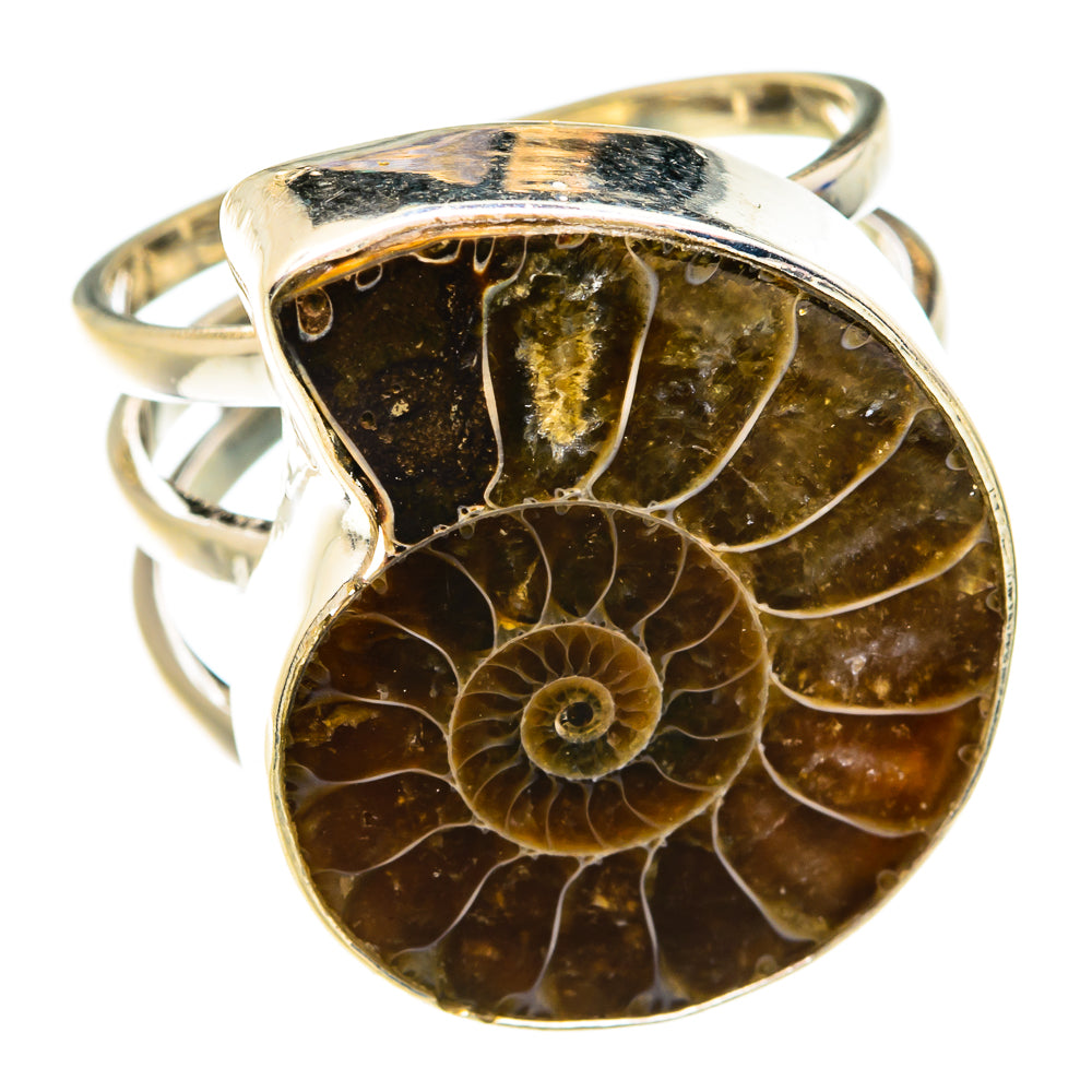 Ammonite Fossil Rings handcrafted by Ana Silver Co - RING74834