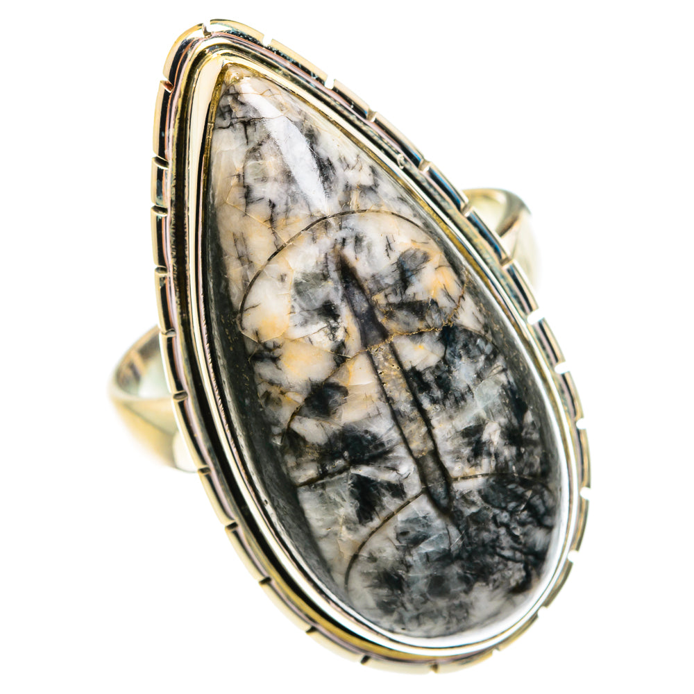 Orthoceras Fossil Rings handcrafted by Ana Silver Co - RING76949