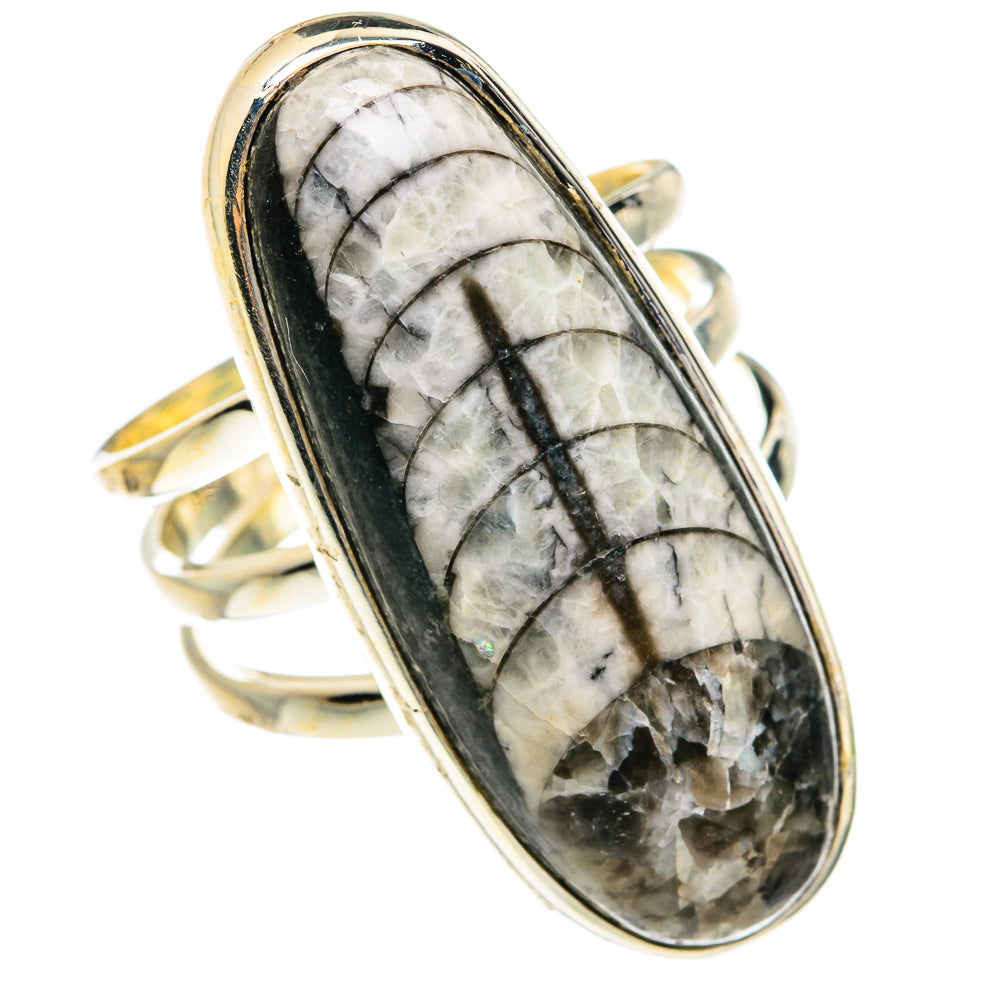 Orthoceras Fossil Rings handcrafted by Ana Silver Co - RING77691