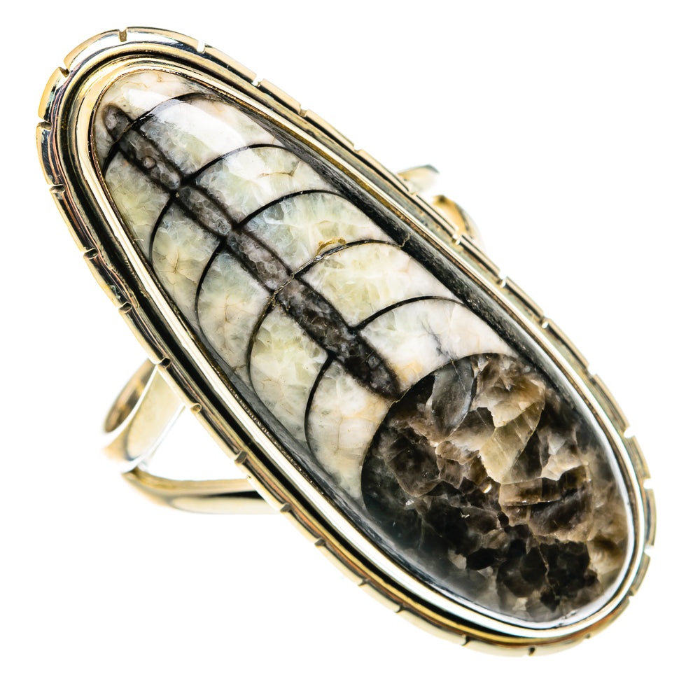 Orthoceras Fossil Rings handcrafted by Ana Silver Co - RING77759