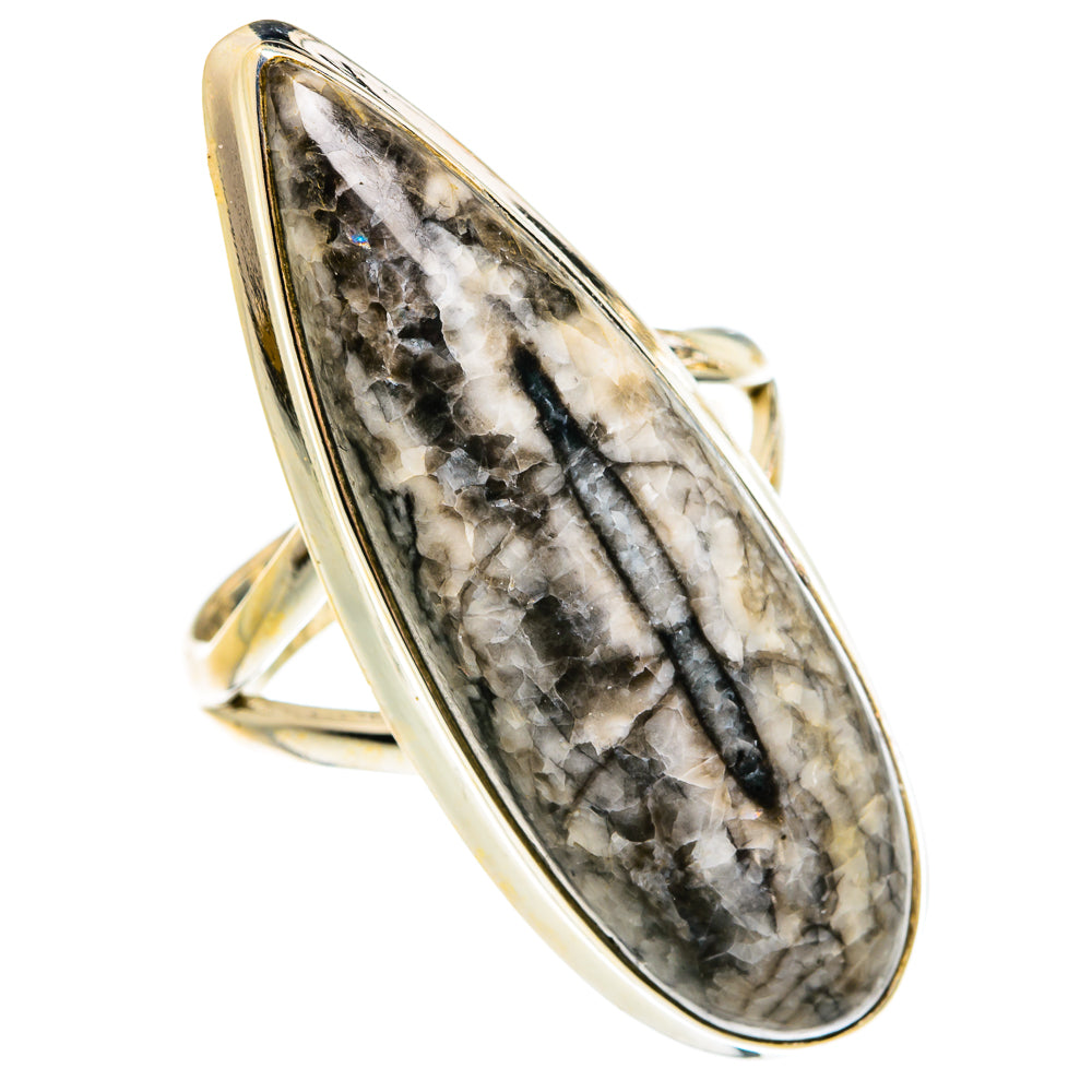 Orthoceras Fossil Rings handcrafted by Ana Silver Co - RING78025