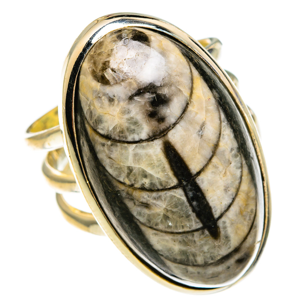 Oval orthoceras fossil ring in polished sterling silver with beige-gray stone and dark veins
