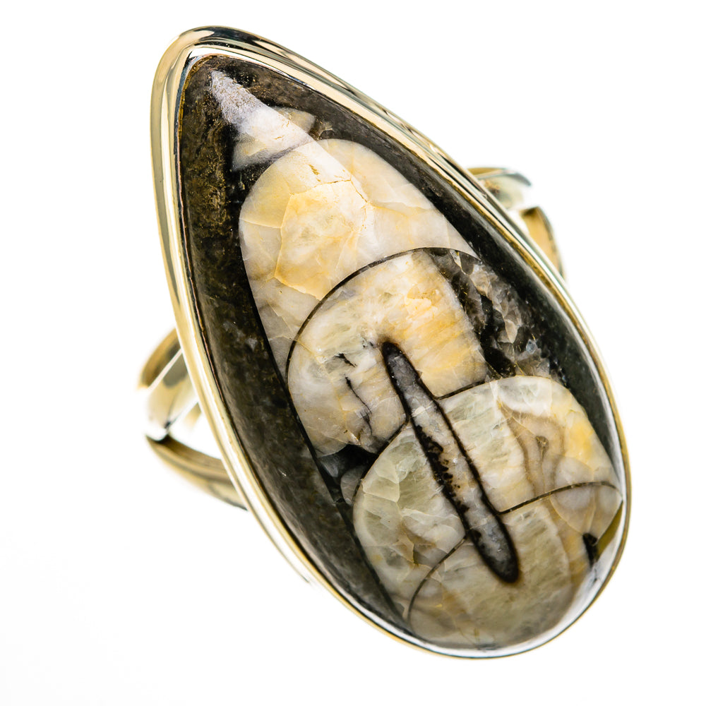 Orthoceras Fossil Rings handcrafted by Ana Silver Co - RING78588