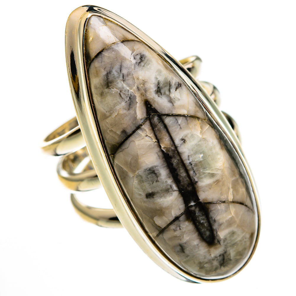 Orthoceras Fossil Rings handcrafted by Ana Silver Co - RING78596