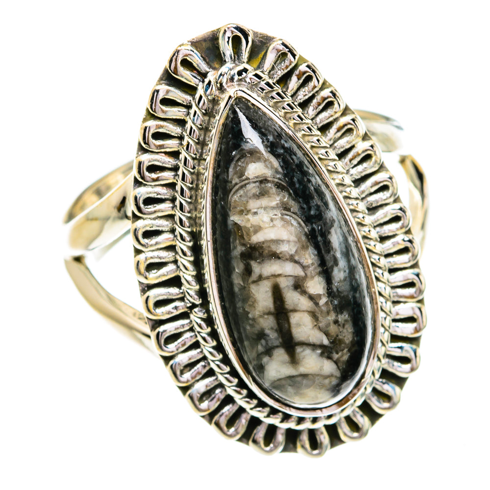 Orthoceras Fossil Rings handcrafted by Ana Silver Co - RING79278