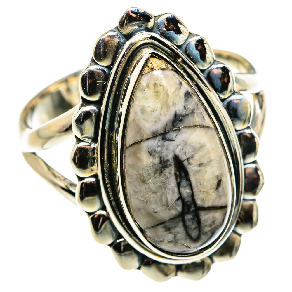 Orthoceras Fossil Rings handcrafted by Ana Silver Co - RING79441