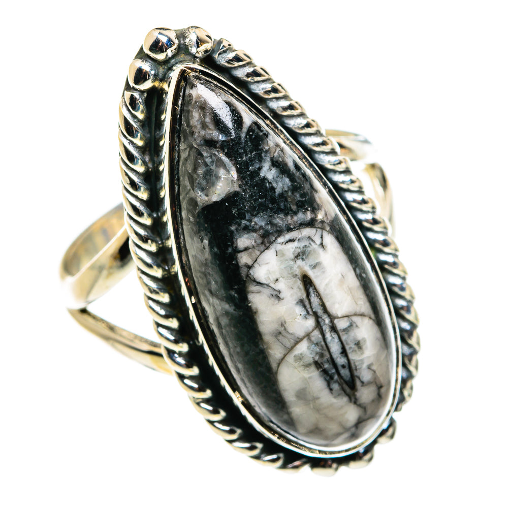 Orthoceras Fossil Rings handcrafted by Ana Silver Co - RING79630
