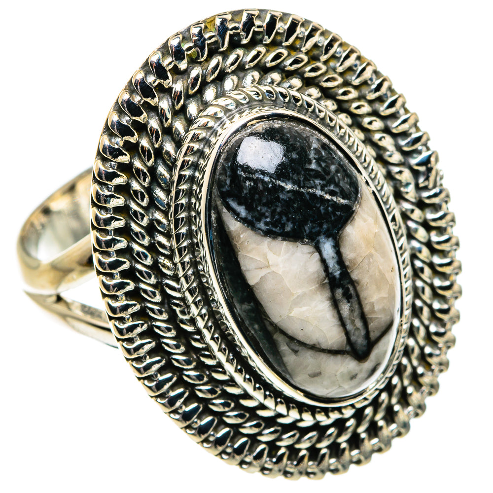 Orthoceras Fossil Rings handcrafted by Ana Silver Co - RING80000