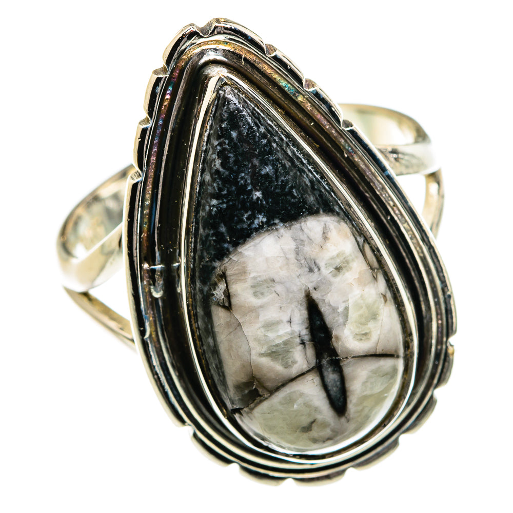 Orthoceras Fossil Rings handcrafted by Ana Silver Co - RING80032