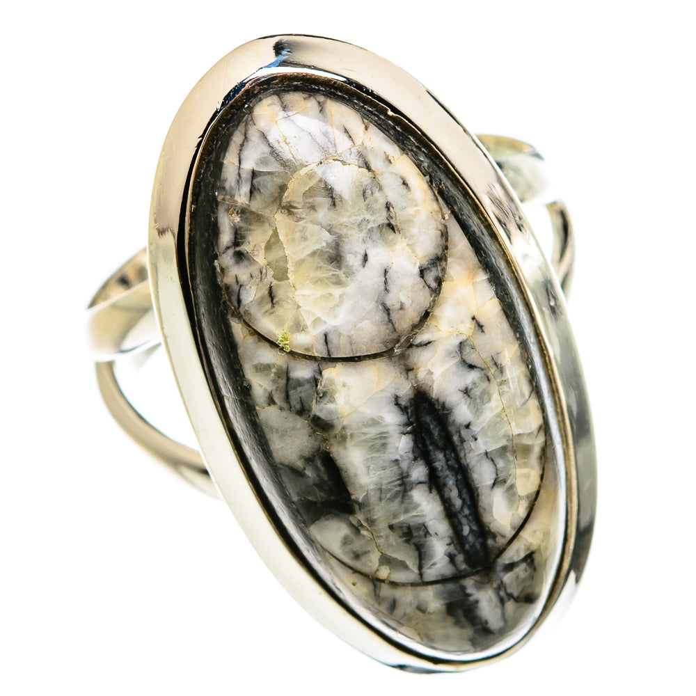 Orthoceras Fossil Rings handcrafted by Ana Silver Co - RING80358