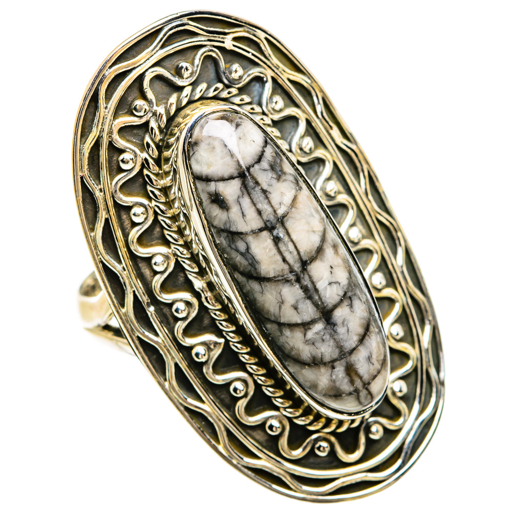 Orthoceras Fossil Rings handcrafted by Ana Silver Co - RING80563