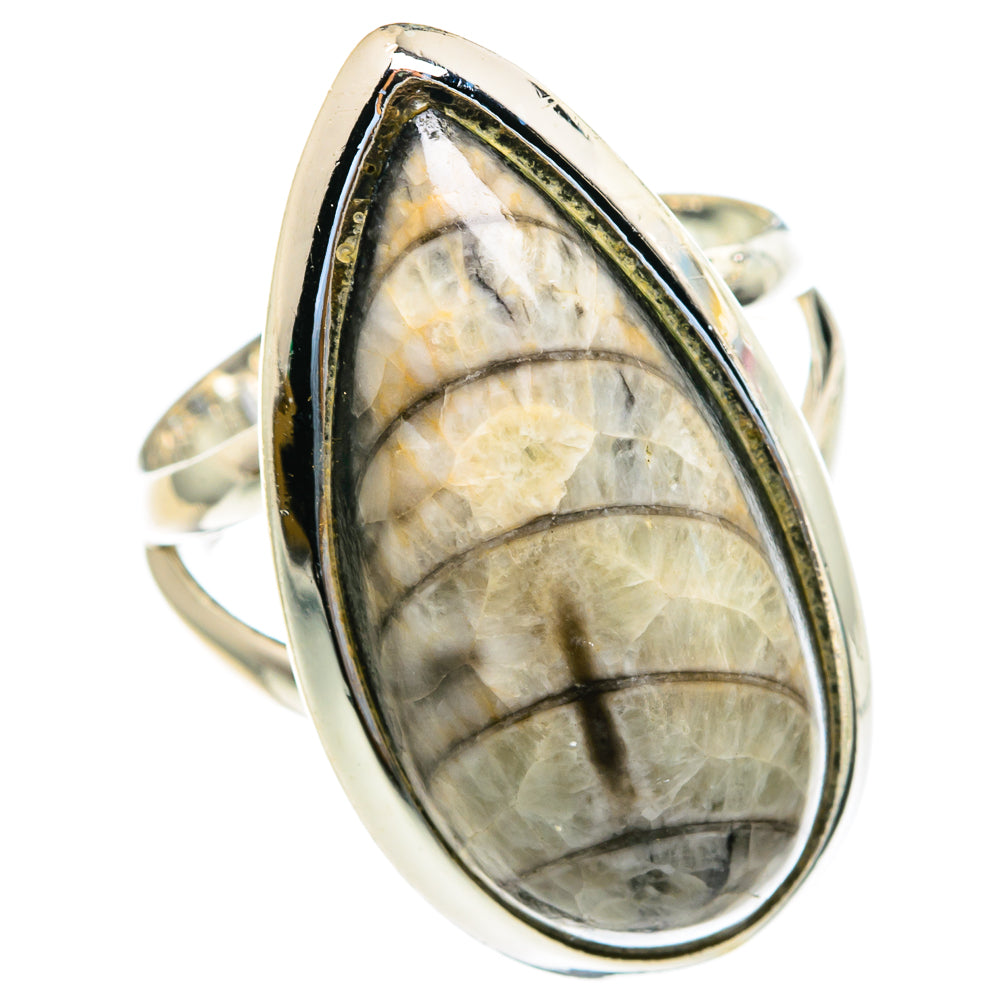 Orthoceras Fossil Rings handcrafted by Ana Silver Co - RING82104
