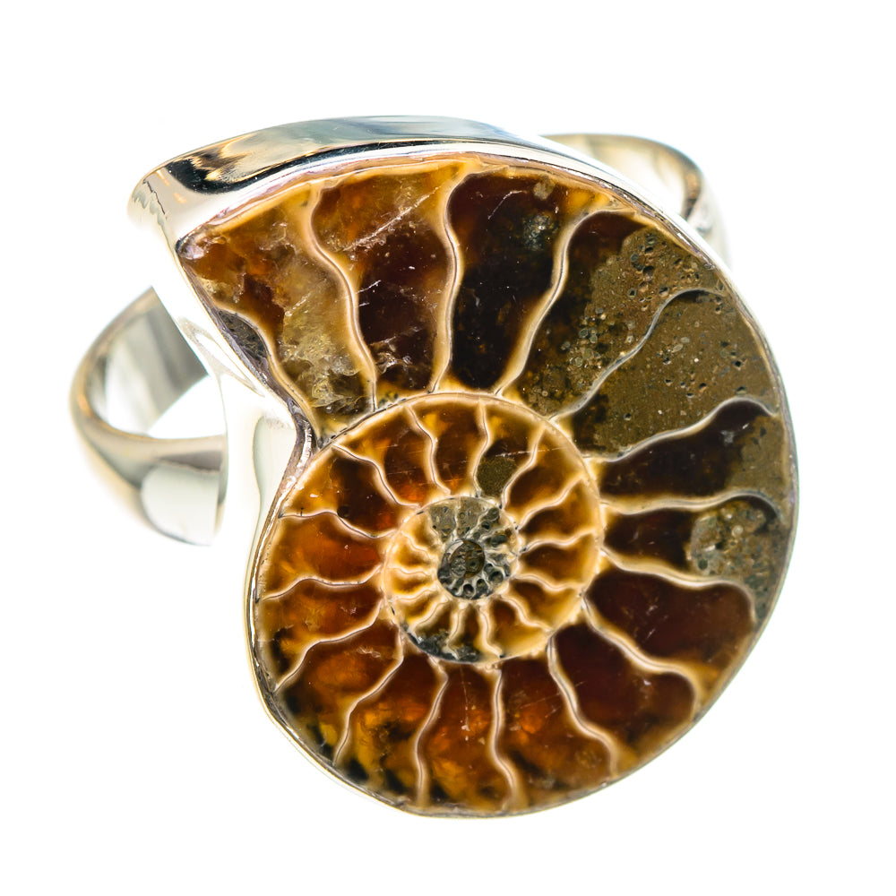 Ammonite Fossil Rings handcrafted by Ana Silver Co - RING88767