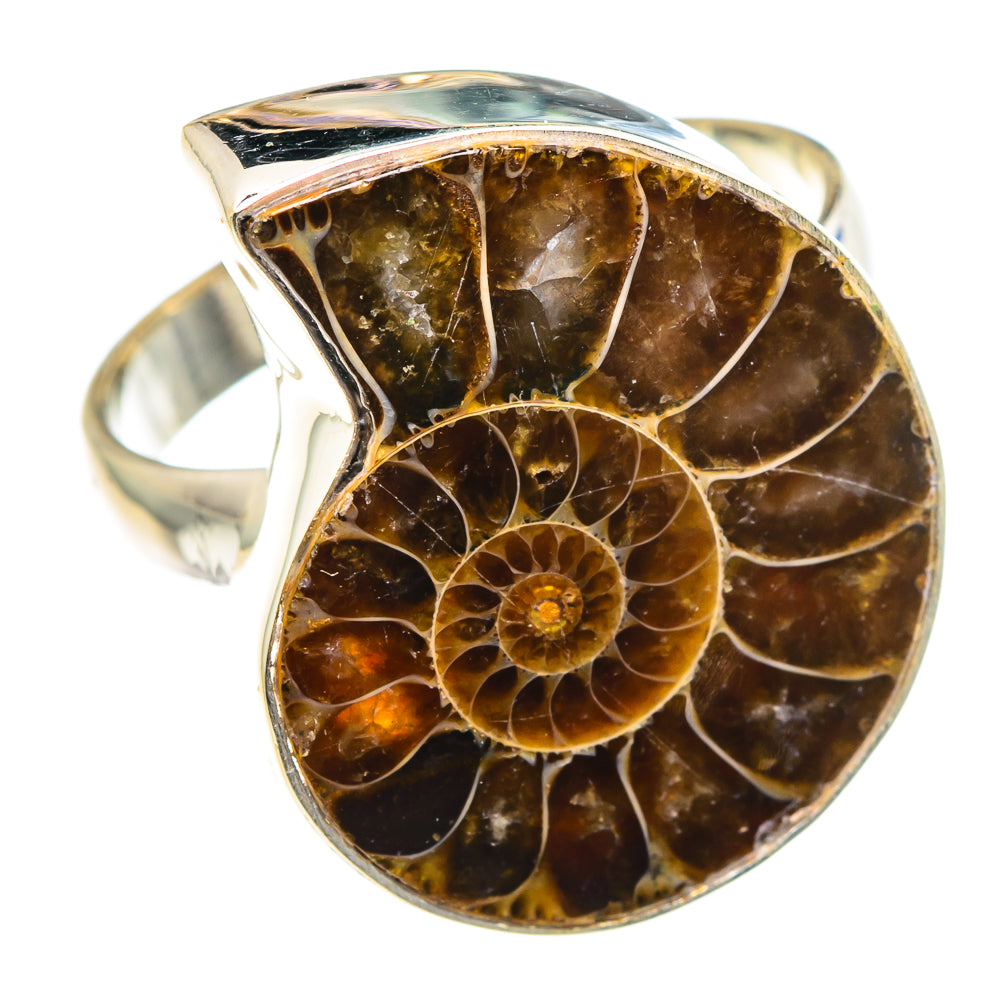 Ammonite Fossil Rings handcrafted by Ana Silver Co - RING89363