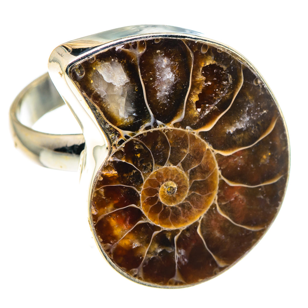 Ammonite Fossil Rings handcrafted by Ana Silver Co - RING91261