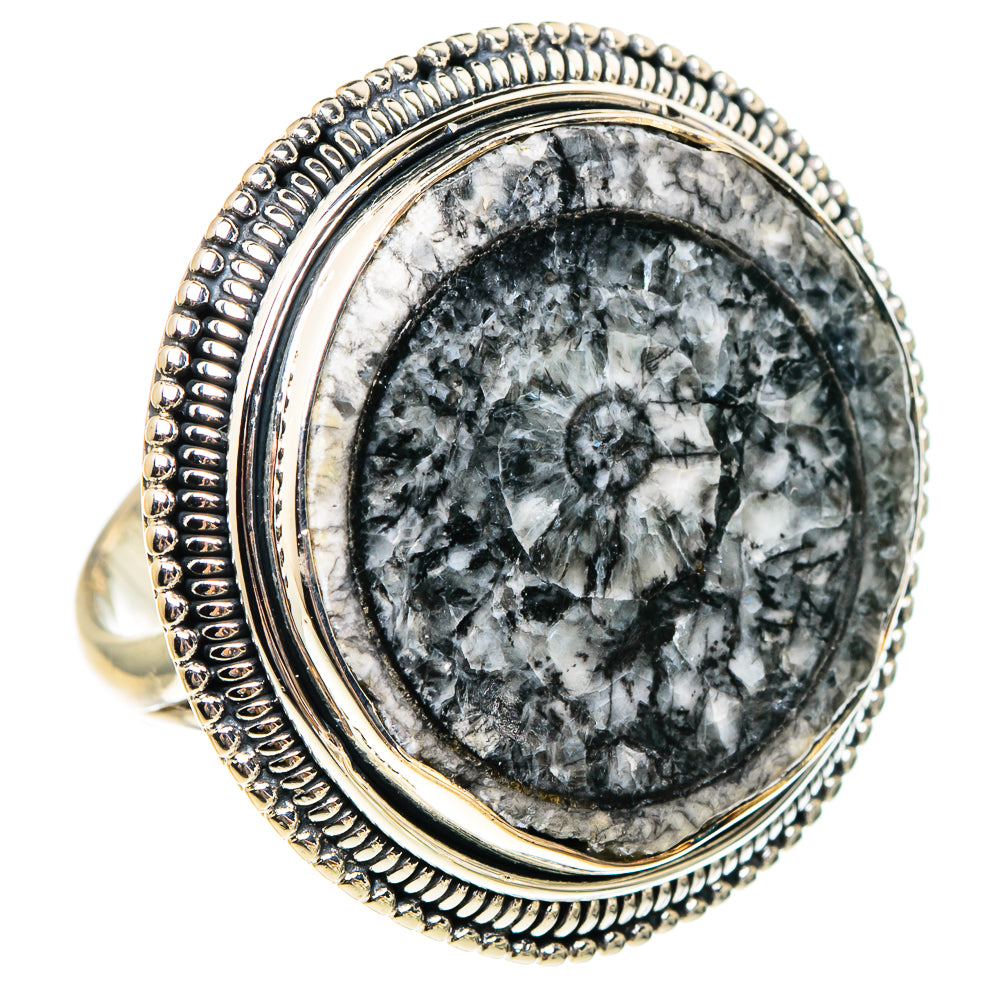 Goniatite Fossil Rings handcrafted by Ana Silver Co - RING95388