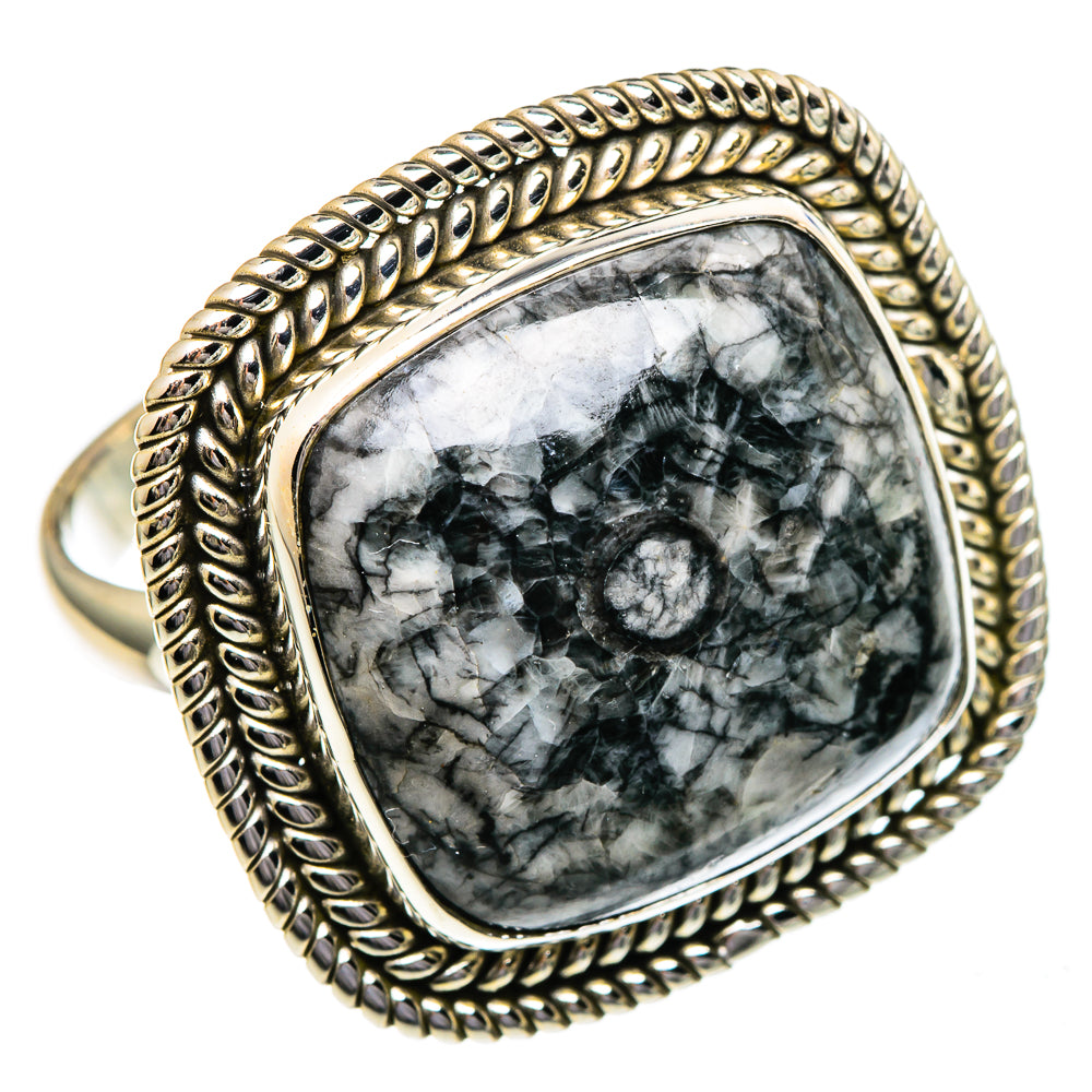 Oval fossil goniatite ring in sterling silver, braided bezel with dark marbled stone
