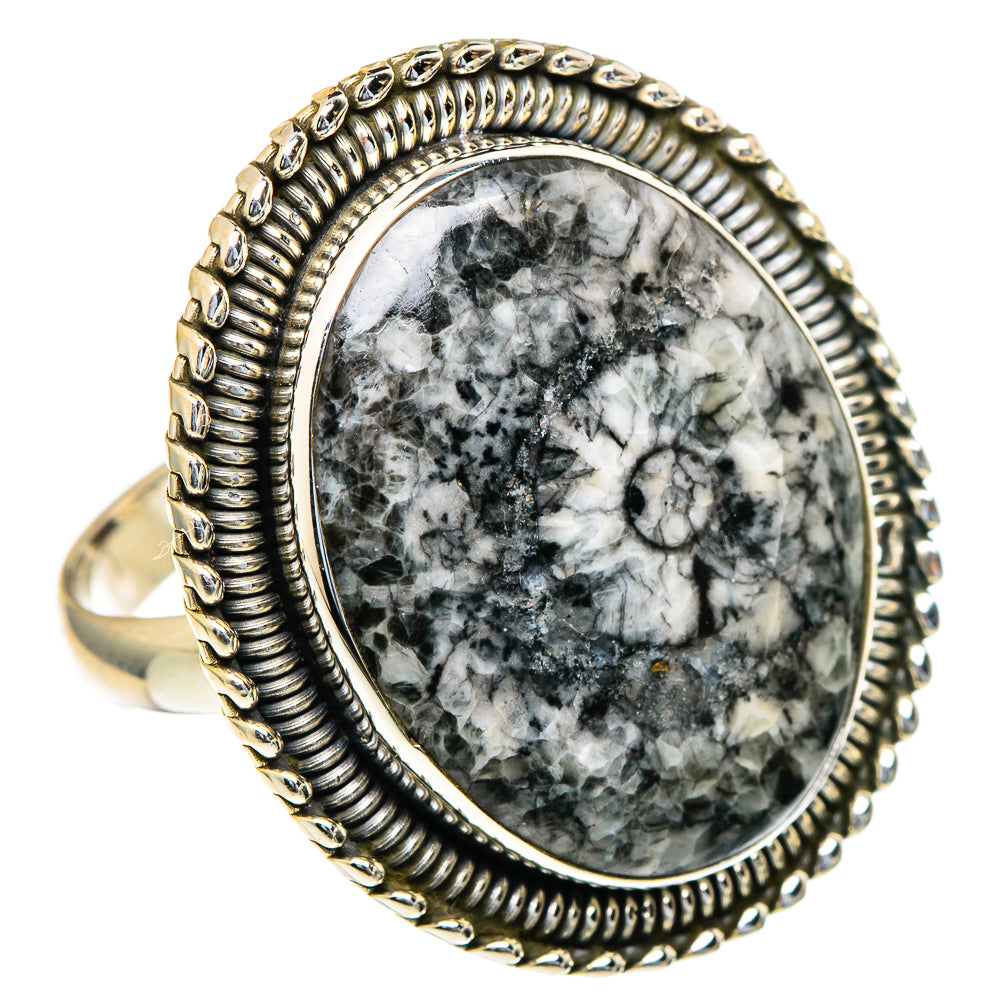Moroccan Goniatite Fossil Rings handcrafted by Ana Silver Co - RING98268