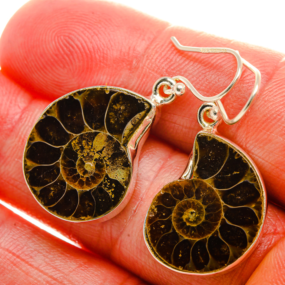 Ammonite Fossil Earrings 1 1/2" (925 Sterling Silver) EARR431995