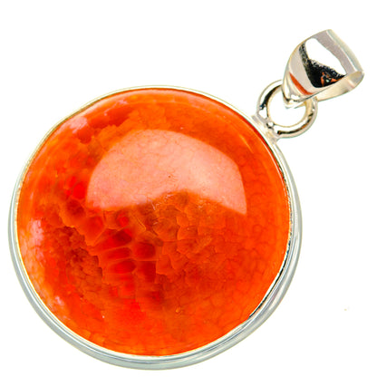 Fire Crab Agate Pendant 1 1/2" (925 Sterling Silver) PD37976