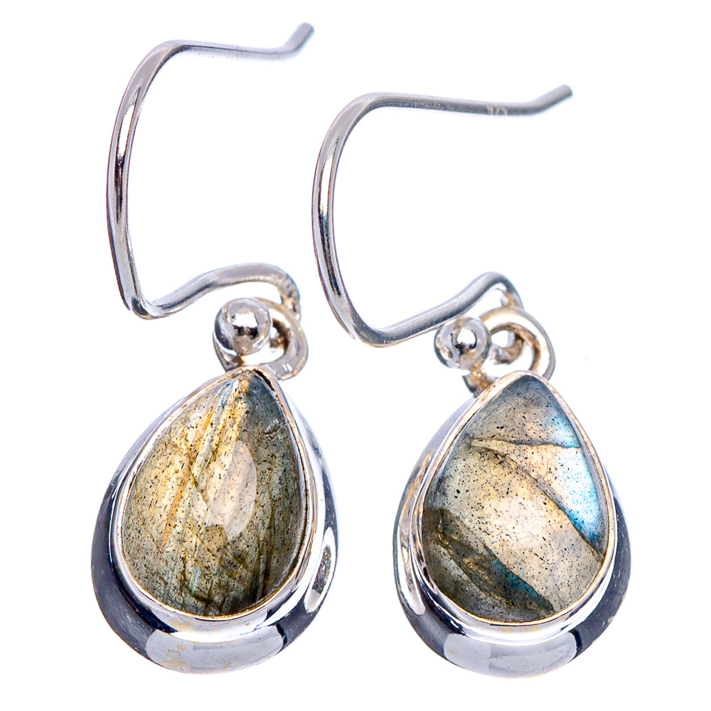 Labradorite Earrings 1 1/8" (.925 Sterling Silver)