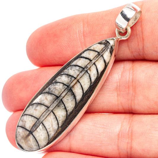 Orthoceras fossil pendant in .925 sterling silver bail, oval with black and gray banded pattern