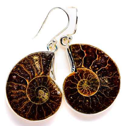 Ammonite Fossil Earrings 1 5/8" (925 Sterling Silver) EARR432121