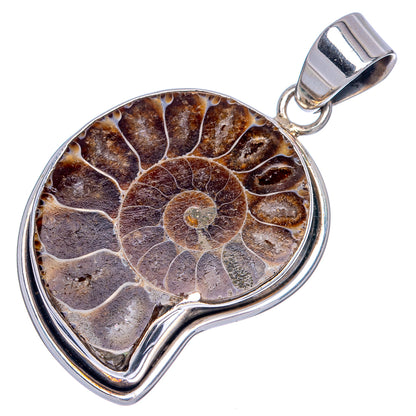 Ammonite Fossil 2" Pendant (925 Sterling Silver) P40003