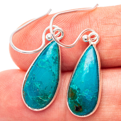 Chrysocolla Earrings 1 3/8" (.925 Sterling Silver)