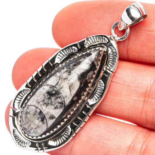 Sterling silver orthoceras fossil pendant, teardrop bezel with ornate border and bail