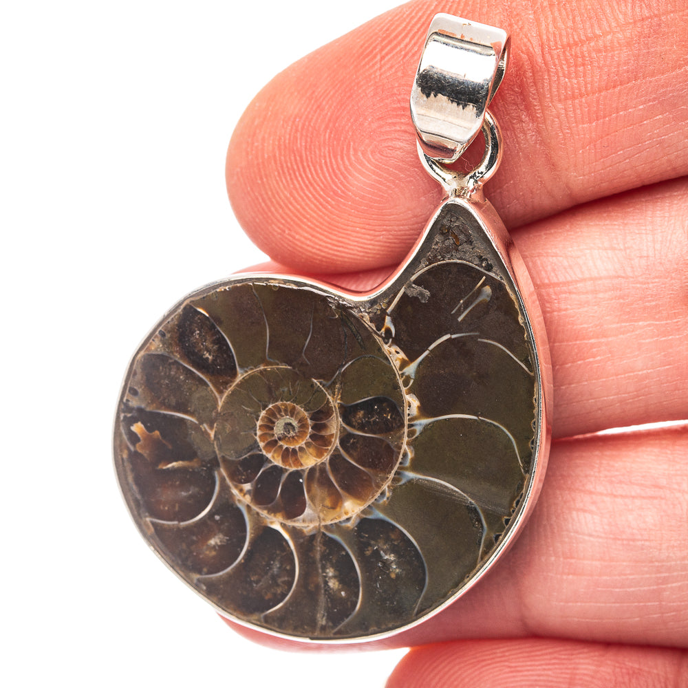 Ammonite Fossil Pendant 1 3/4" (.925 Sterling Silver)