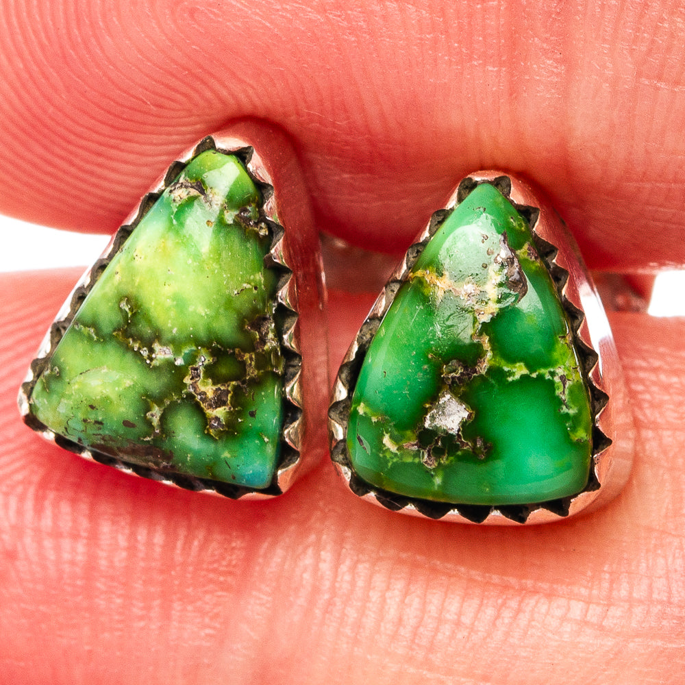 Sonoran Gold Turquoise Earrings 3/8" (.925 Sterling Silver)