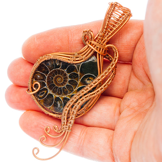 Ammonite Fossil Wire Wrap Pendant 3 1/4" (Copper)