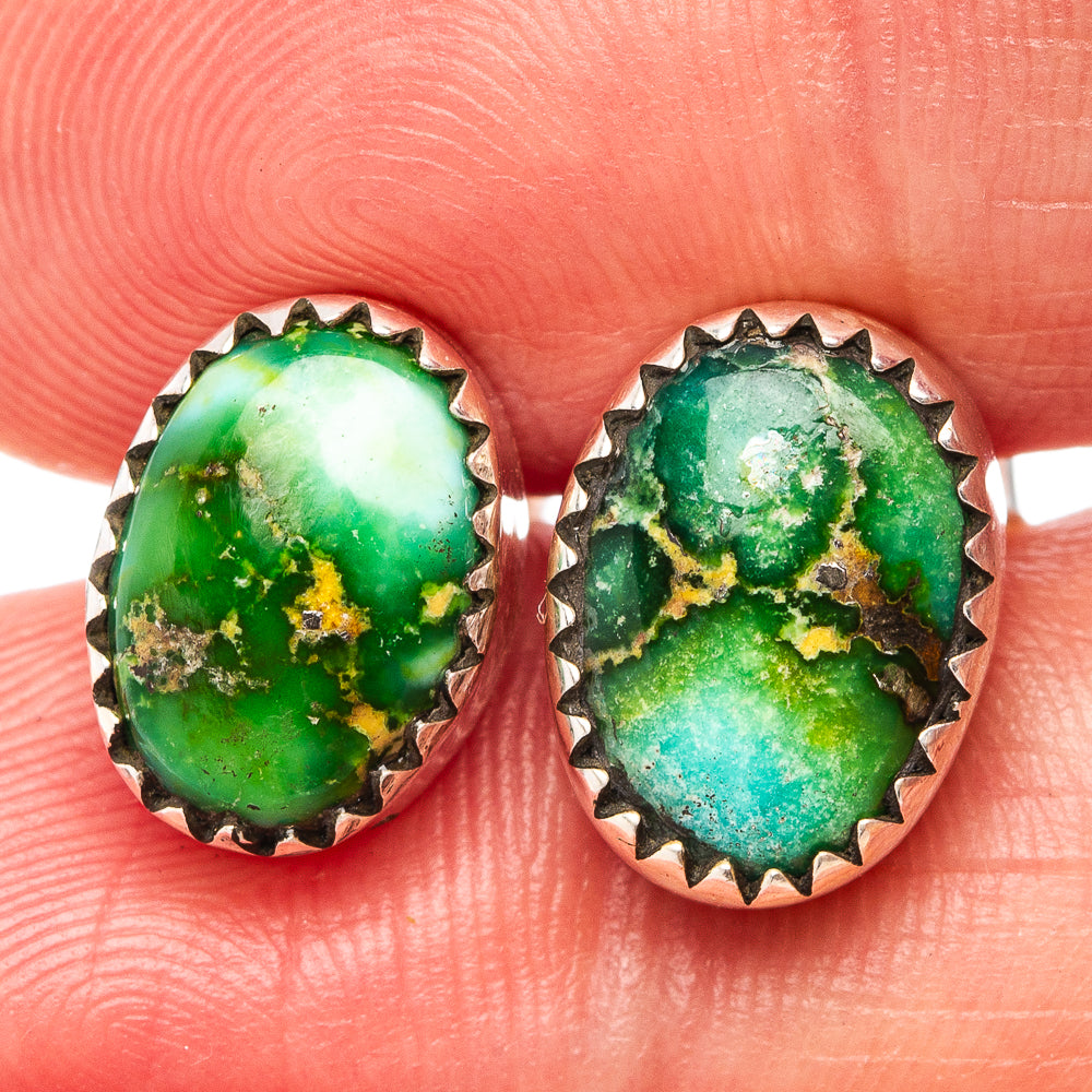Sonoran Gold Turquoise Earrings 3/8" (.925 Sterling Silver)