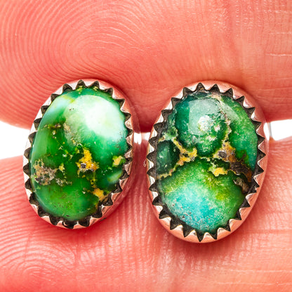 Sonoran Gold Turquoise Earrings 3/8" (.925 Sterling Silver)