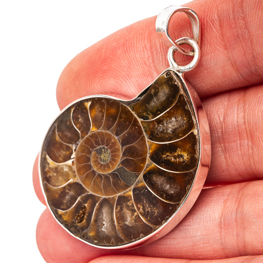 Ammonite fossil heart pendant with silver bail, shown on a hand for scale