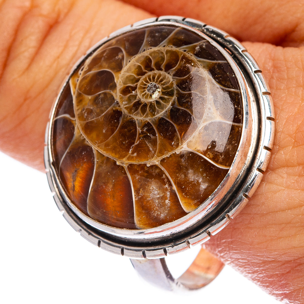 Large ammonite fossil ring, 925 sterling silver bezel with amber spiral fossil pattern