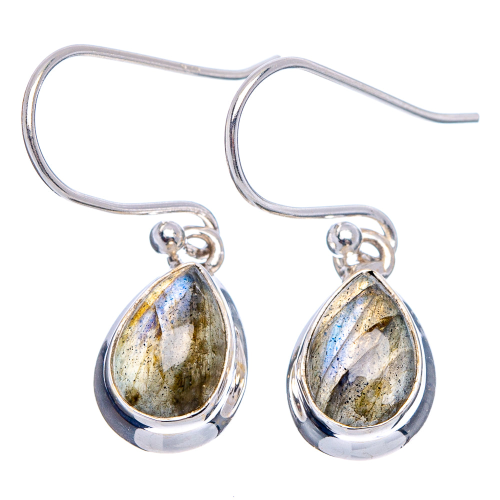 Labradorite Earrings 1 1/8" (.925 Sterling Silver)