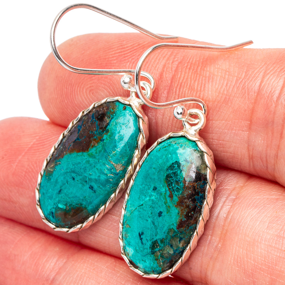 Chrysocolla Earrings 1 5/8" (.925 Sterling Silver)