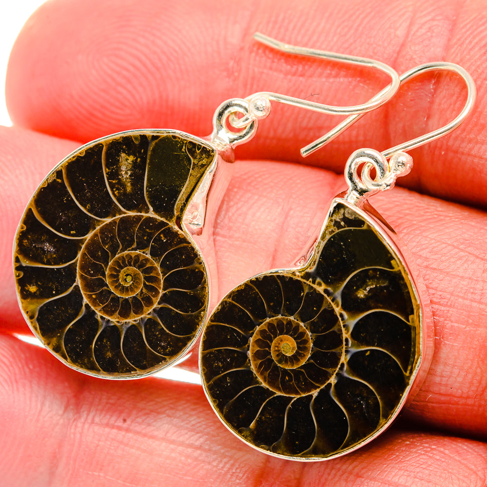 Ammonite Fossil Earrings 1 1/2" (925 Sterling Silver) EARR432026