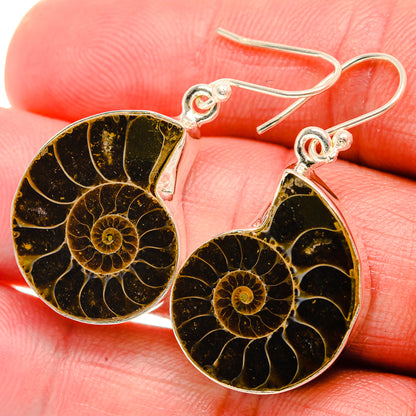 Ammonite Fossil Earrings 1 1/2" (925 Sterling Silver) EARR432026