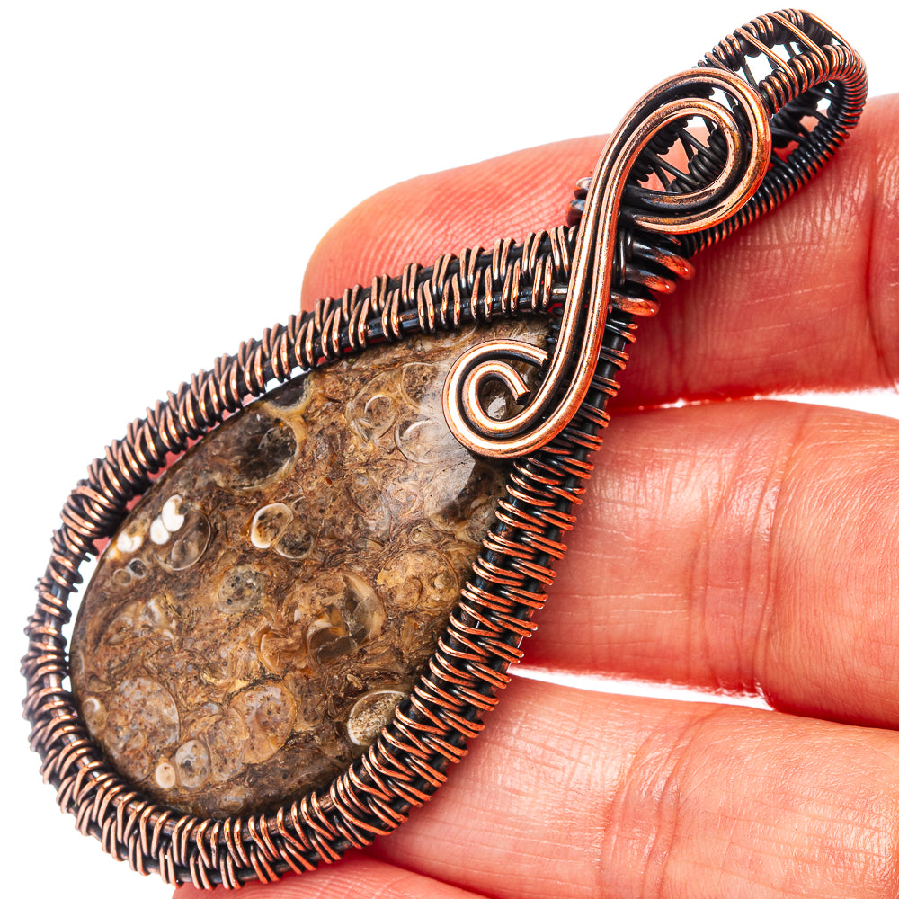 Turritella Agate Wire Wrap Pendant 2 5/8" (Oxidized Copper)