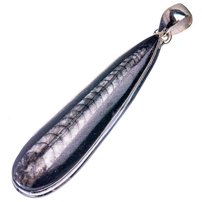 Large Orthoceras Fossil 925 Sterling Silver Pendant 2 7/8"