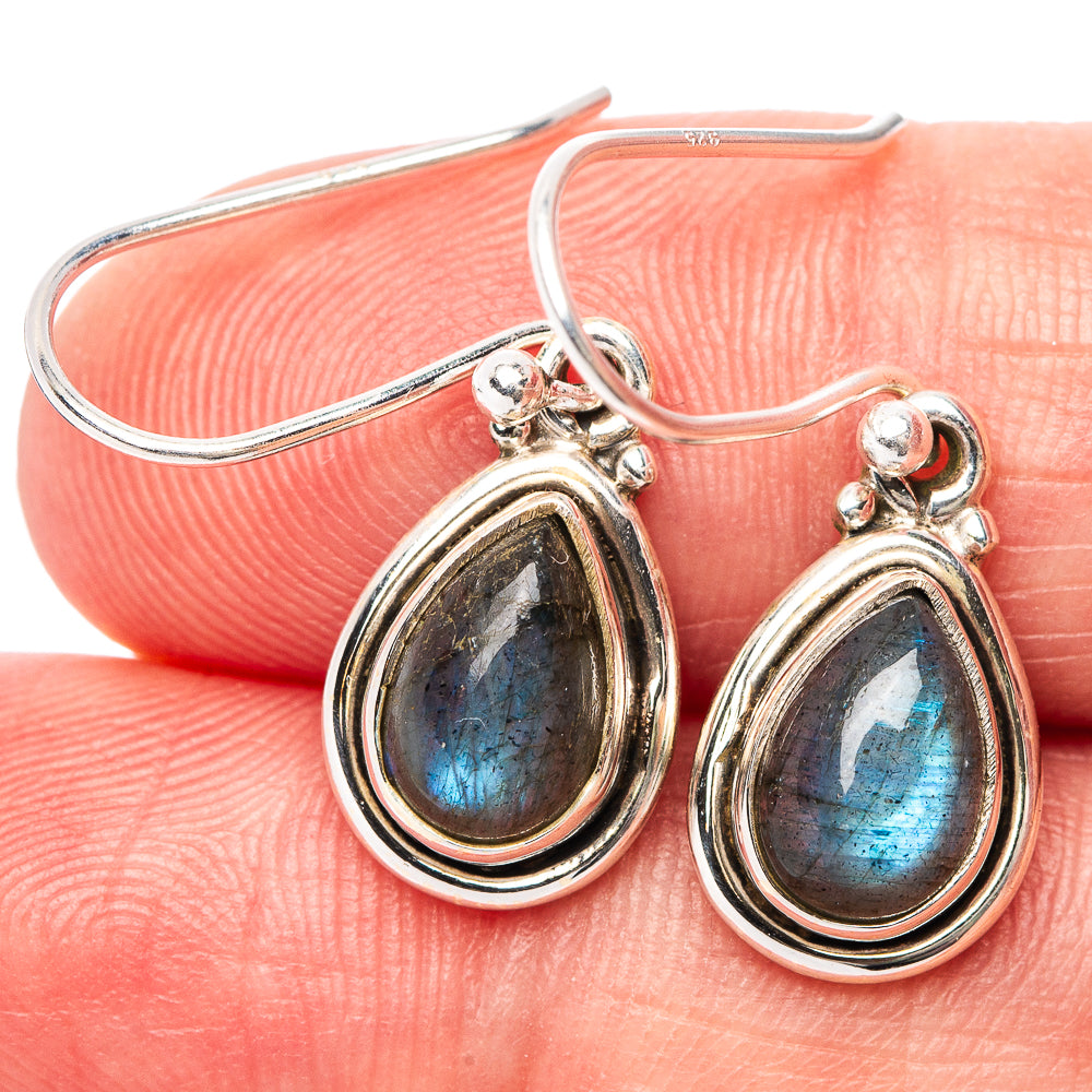 Labradorite Earrings 1 1/8" (.925 Sterling Silver)
