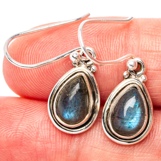 Labradorite teardrop earrings in .925 sterling silver, blue-gray oval stone, drop style