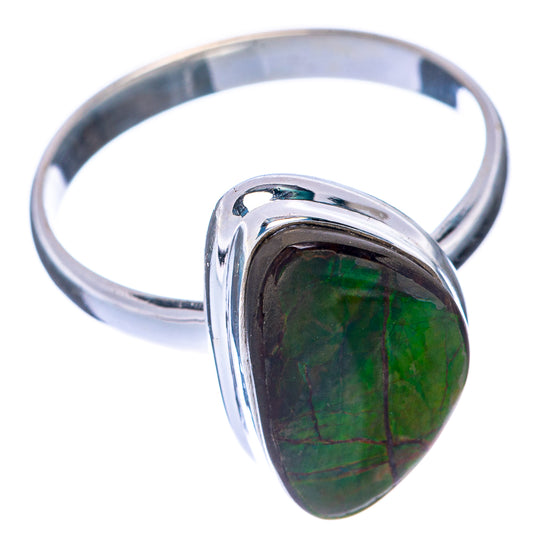 Ammolite Ring Size 11 (925 Sterling Silver) R144981