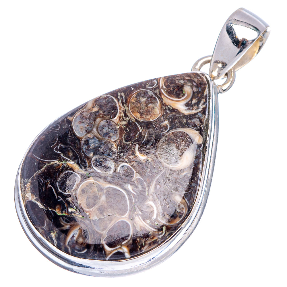 Turritella Agate Pendant 1 5/8" (.925 Sterling Silver)
