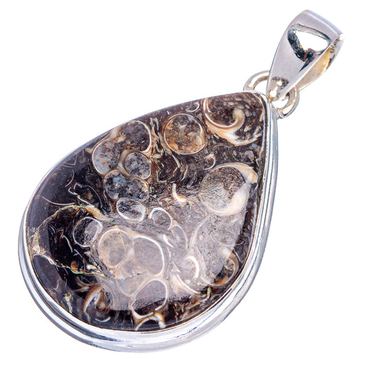 Sterling silver turritella agate teardrop pendant with polished top bail