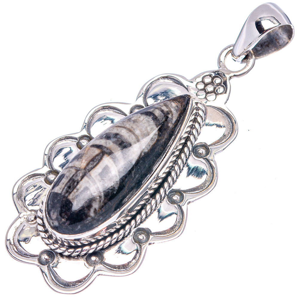 Sterling silver pendant with oval fossil stone, braided rope detail, and loop bail